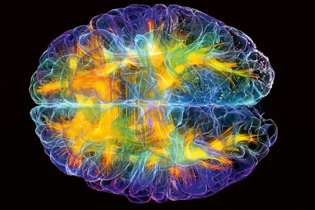 ¿Qué daños causan las drogas en el cerebro?